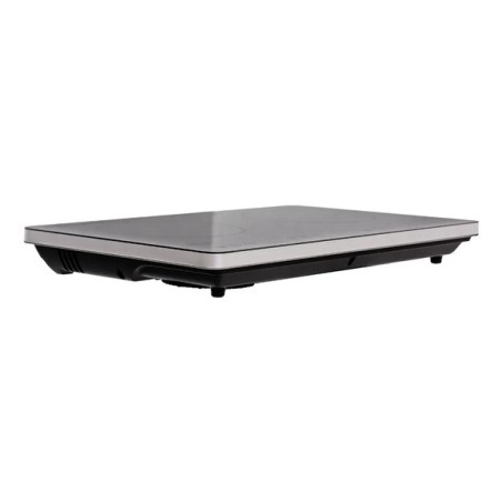 PLANTILLA INDUCCION NAVAR 2 DISCOS DELUXE BT-18D2DX