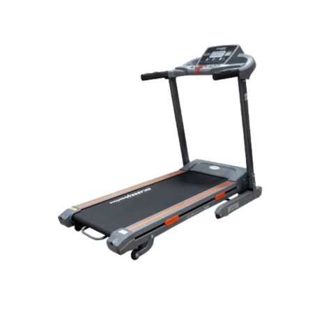 PISTA ELECTRICA CICADEX 2HP 343-2999 PE-1125 MAX 100KG