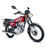 MOTOCICLETA FREEDOM 150CC ZS 150-7 