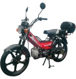 BICI MOTO SERPENTO BRAVO 110C GARANTIA 1 MES