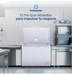 CONGELADOR HTL INDURAMA 11CF CI-299IBL DUAL